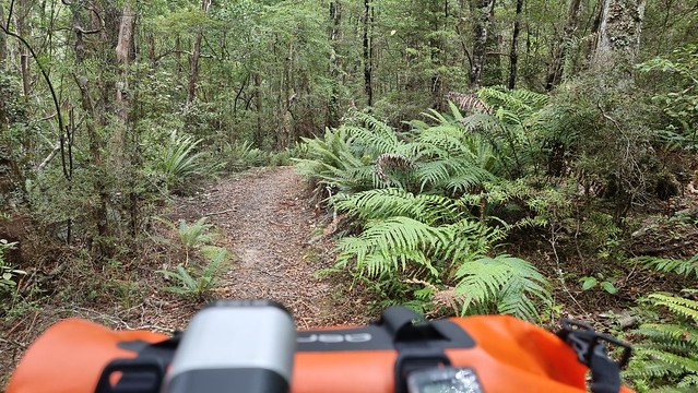 Rameka Trail | Tākaka Hill
