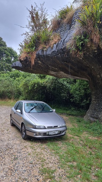 Devils Boots Road | Aorere Goldfields
