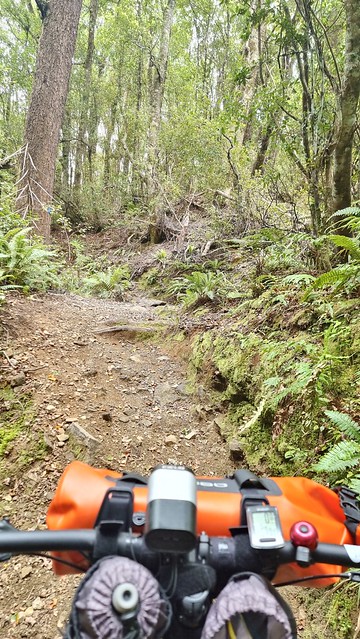 Rameka Trail | Tākaka Hill