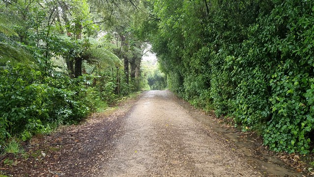 Devils Boots Road | Aorere Goldfields