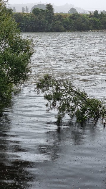 Aorere River rising