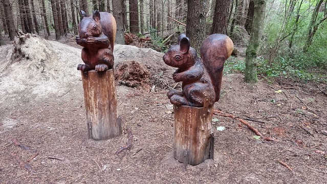 Hanmer Springs Forest Amble