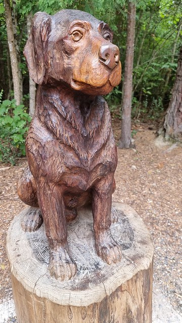 Hanmer Springs Forest Amble