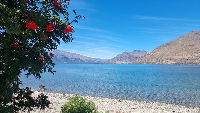 Kelvin Peninsular Lake Whakatipu