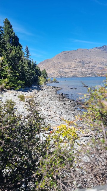Kelvin Peninsular foreshore
