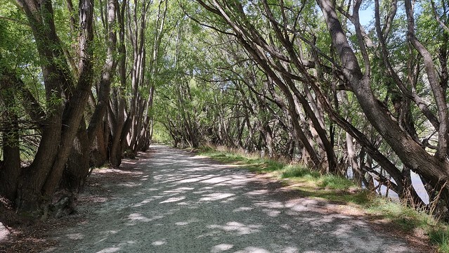 Kawarau River Trail