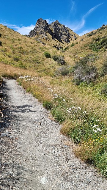 Skippers Pack Track MTB Trail