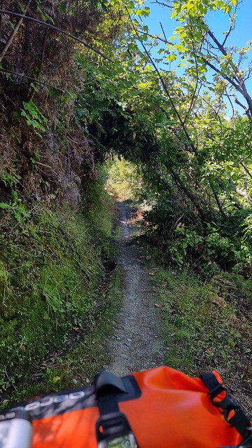 Moke Lake to Lake Dispute Track