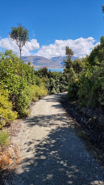 Bob's Cove Track (bike & walk)