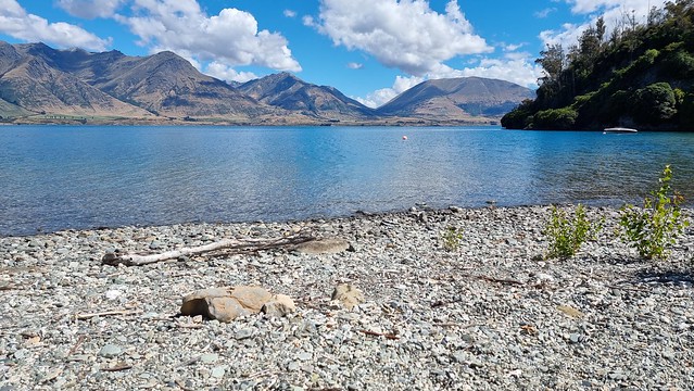 Bob's Cove Track (bike & walk)