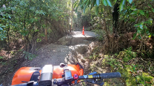 Bob's Cove Track (bike & walk)