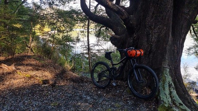 Bob's Cove Track (bike & walk)