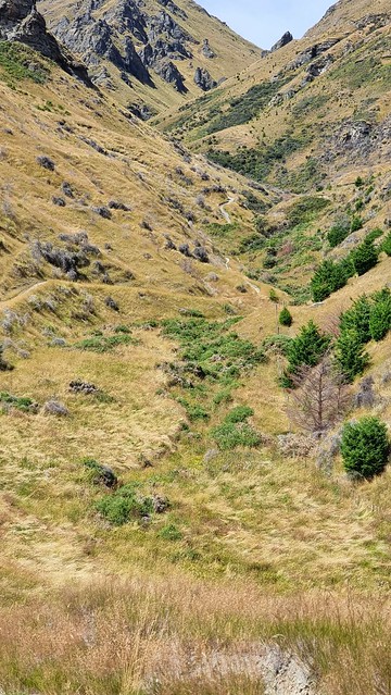 Skippers Pack Track MTB Trail