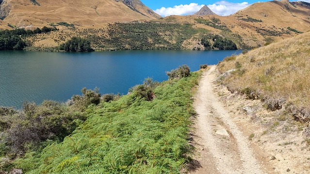 Moke Lake Loop Track