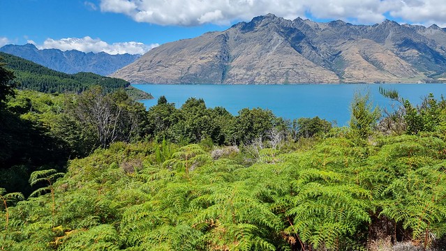 Moke Lake to Lake Dispute Track