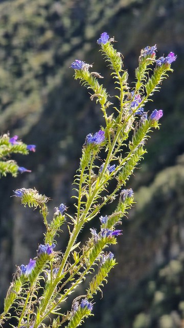 Skippers Canyon Road