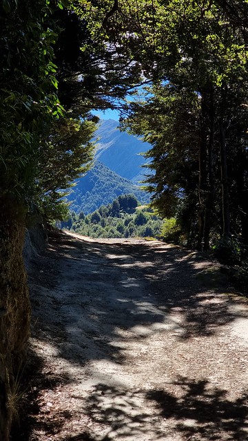 Bob's Cove Track (bike & walk)