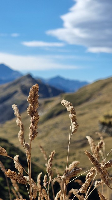 Skippers Canyon Road