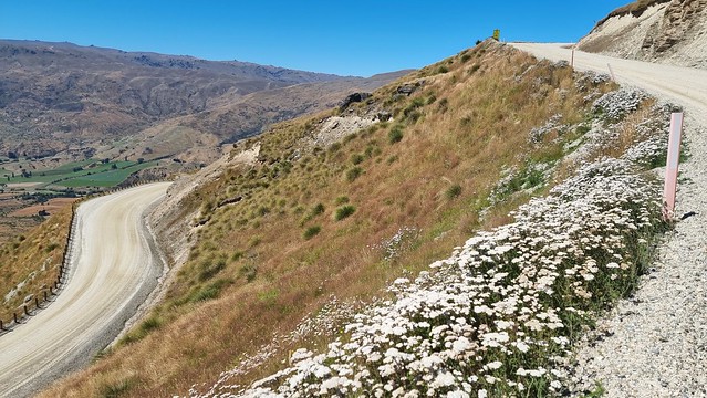 Cardrona Skifield Road