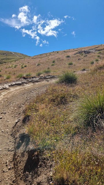 Cardrona Peak to Pub Trail