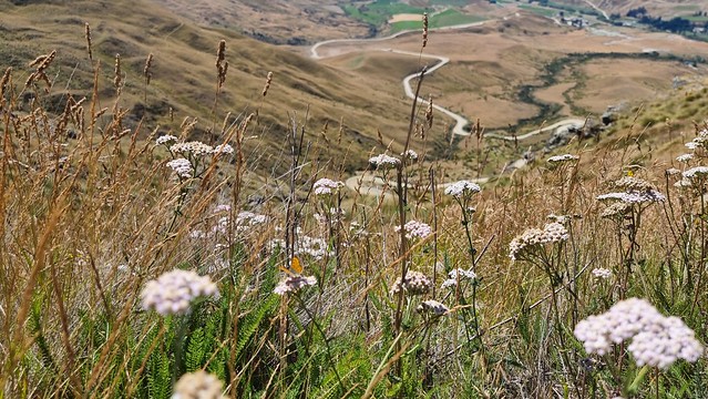 The scale of nature | Cardrona Skifield Road