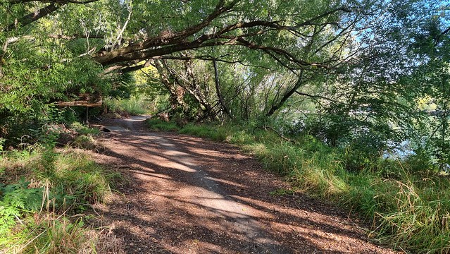 The Anniversary River Track