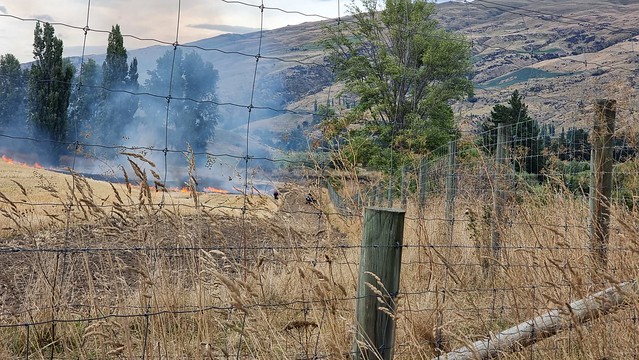 Clutha Gold Trail controlled burn