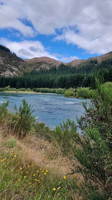 Clutha River Mata-Au | Clutha Gold Trail