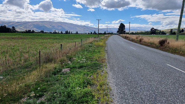 Teviot | Clutha Gold Trail