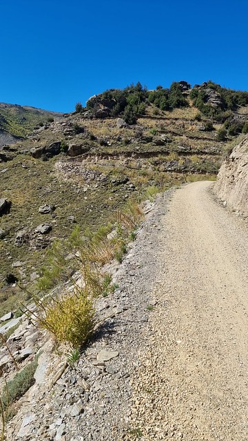 Switchbacks ahead | Lake Dunstan Trail