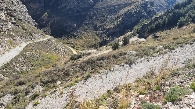 Evening Switchbacks | Lake Dunstan Trail
