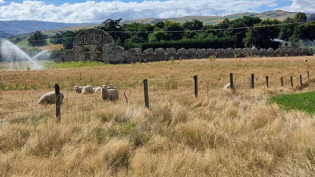 Teviot Woolshed | Clutha Gold Trail