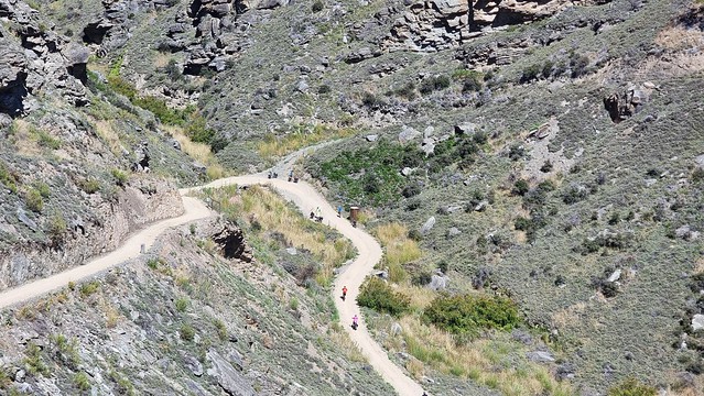 Cairnmuir Gully | Lake Dunstan Trail