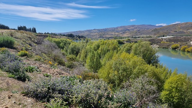 Towards Cromwell | Lake Dunstan Trail