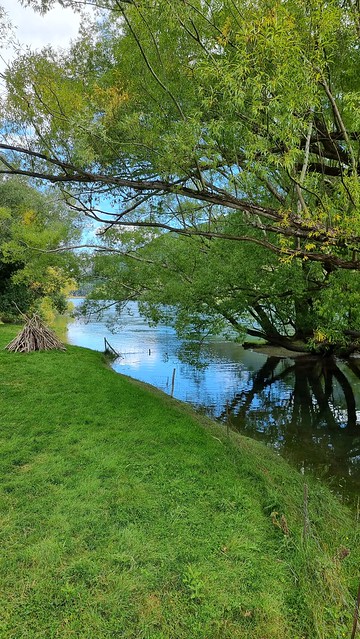 Clutha River Mata-Au | Clutha Gold Trail