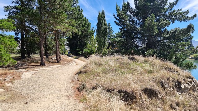 Cornish Point | Lake Dunstan Trail