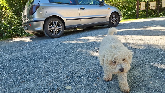 A warm welcome | St Bathans, Otago