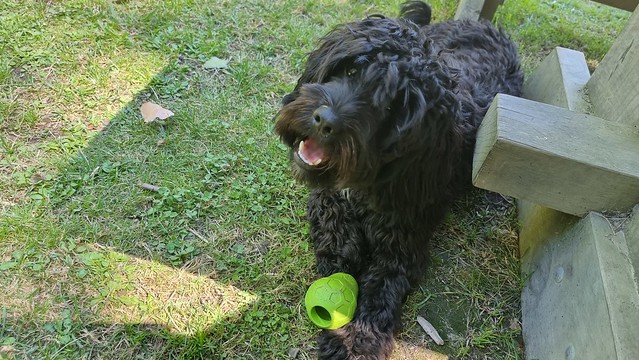 The Vulcan Hotel | St Bathans, Central Otago