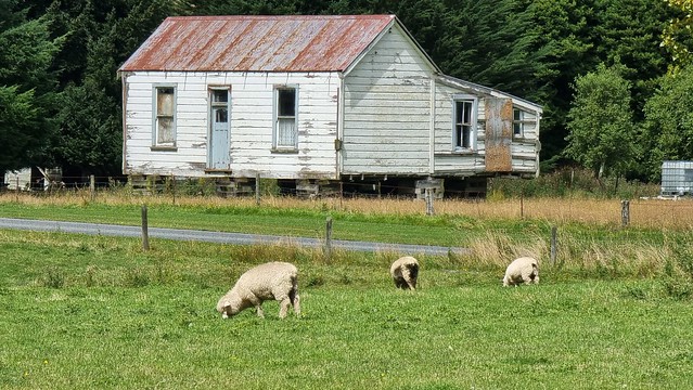 Beaumont | Clutha Gold Trail