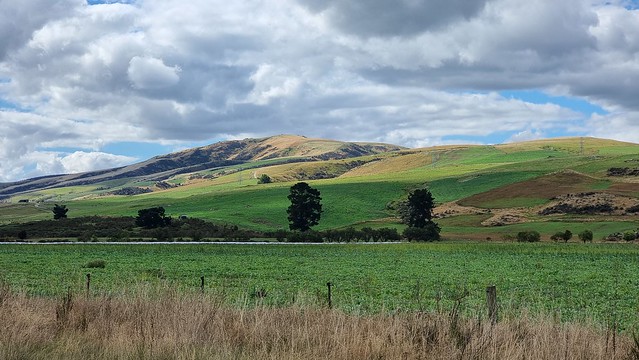 Teviot | Clutha Gold Trail