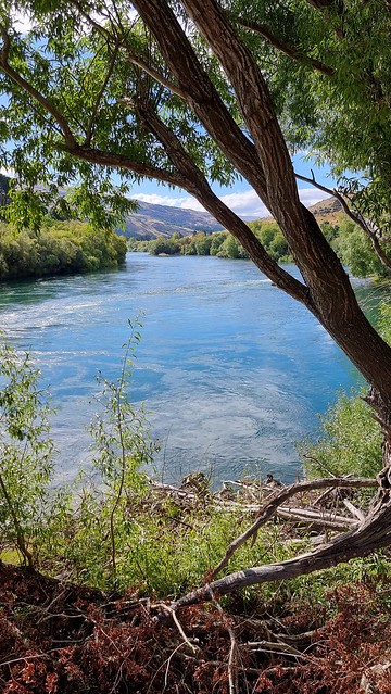 Clutha River Mata-Au | Clutha Gold Trail