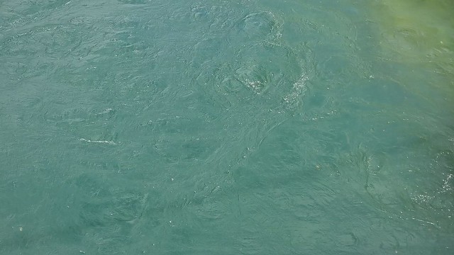 Horseshoe Bend Bridge Flow | Clutha Gold Trail