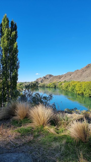Roxburgh Gorge Trail