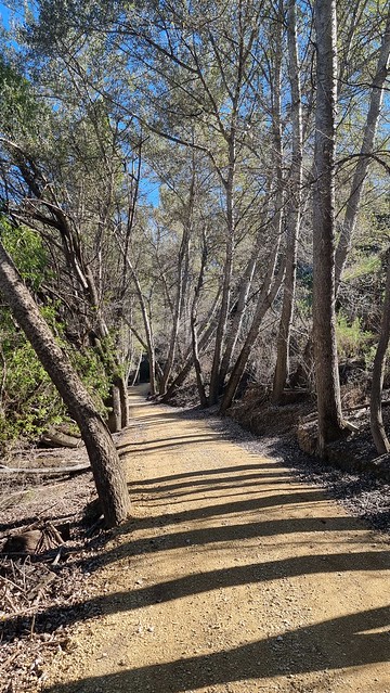 Roxburgh Gorge Trail