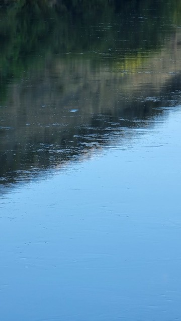 Roxburgh Gorge Trail Doctors Pt