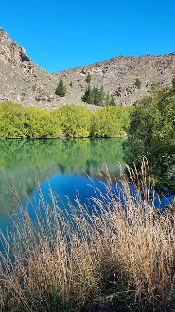 Roxburgh Gorge Trail