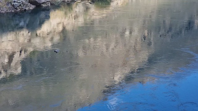 Roxburgh Gorge Trail Doctors Pt