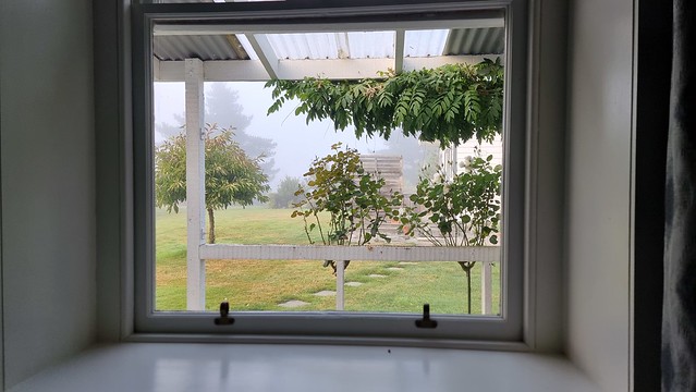 Roxburgh Cottage fog