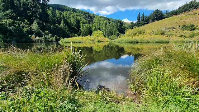 Gabriel's Gully | Clutha Gold Trail