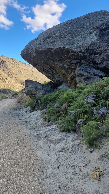 Roxburgh Gorge Trail